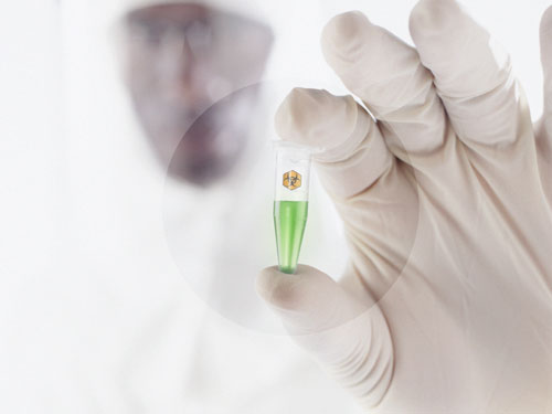 Human Factor Xa (FXa) RVV-X Activated